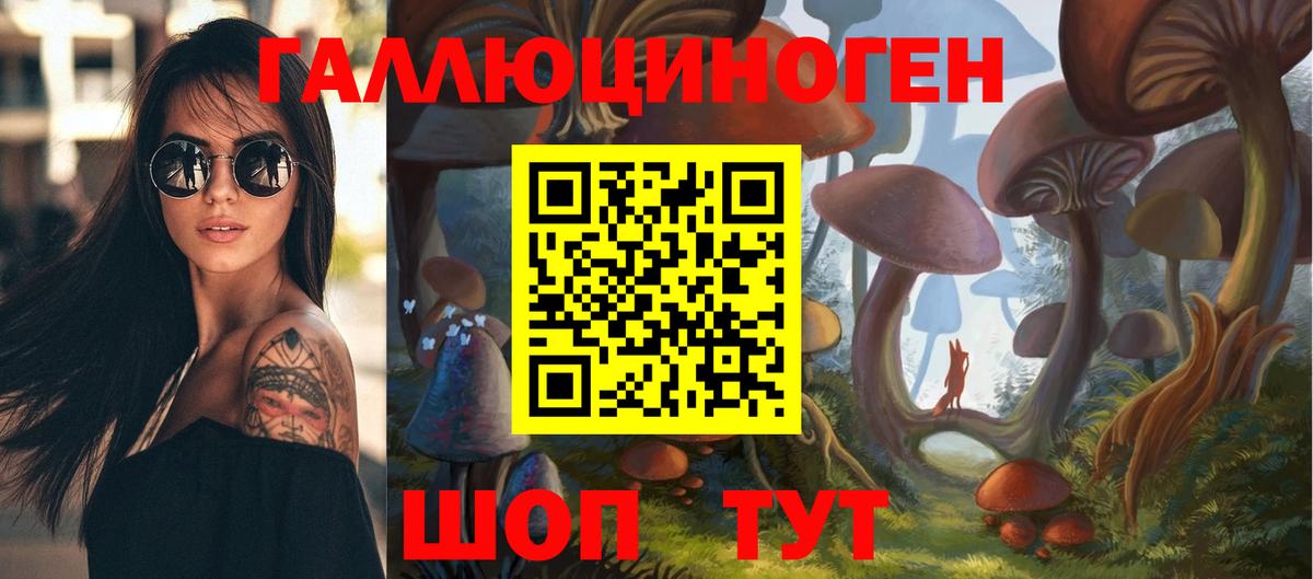 Галлюциногенные грибы Psilocybe  Вход с VPN  Зерноград 